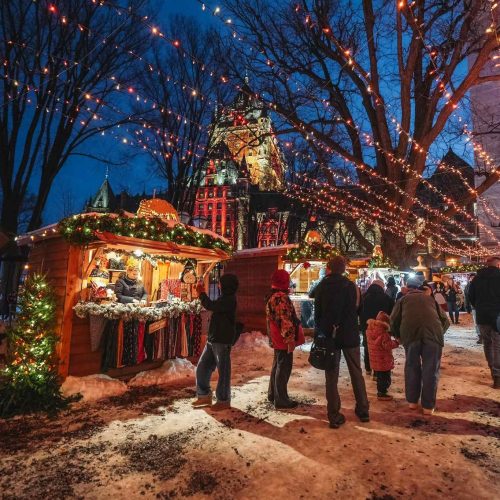 589381328_1440461331422755_2872526200140739707_n-1